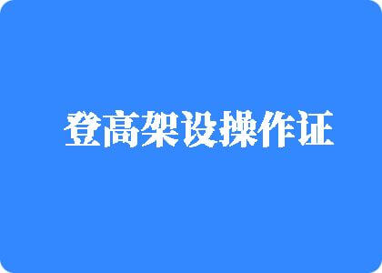 最骚最淫荡的黄色视频登高架设操作证